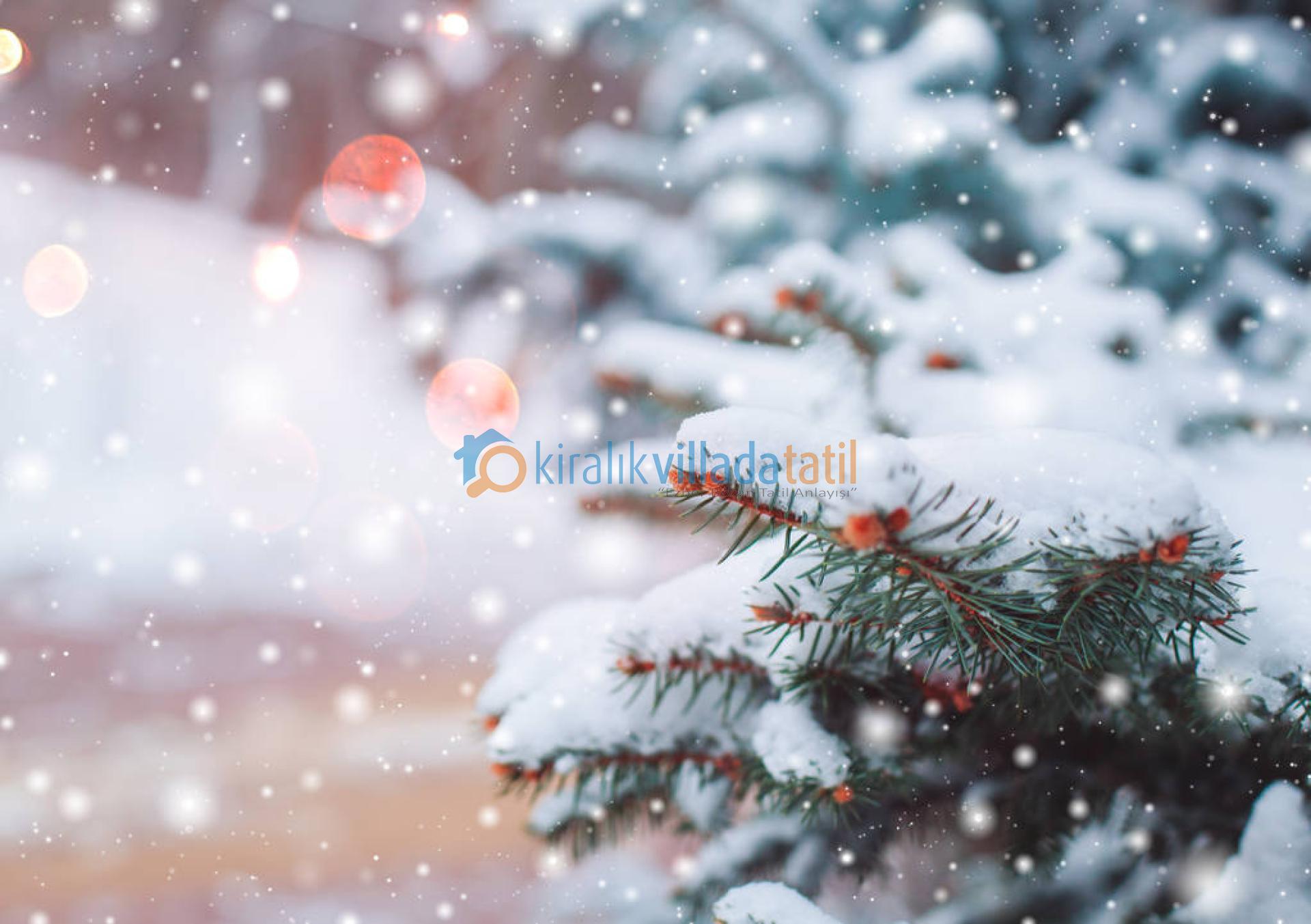 Türkiye'de Kışın Tatil Yapılabilecek Yerler