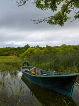 Sapanca'da Hangi Aktiviteler Yapılır ?
